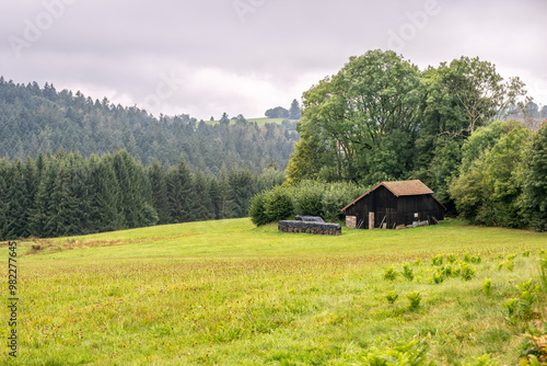 Grange traditionnelle et tas de bas pour le chauffage sur les hauteurs du massif des Vosges