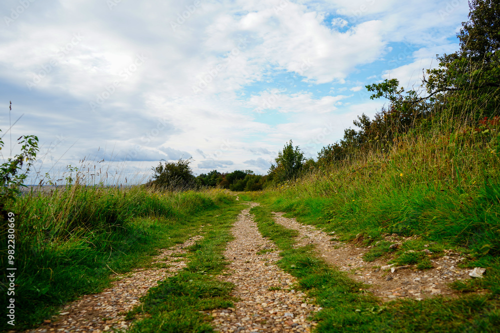 Low angle view down a footpath in the countryside Low angle view down a footpath in the countryside