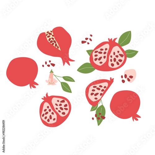 Hand drawn abstract fruit pomegranate plant set. Whole fruit, slices, pieces and leaves, flowers. Can used for posters, labels, patterns.