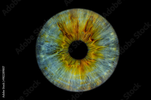 Close up of eye iris on black background, macro, photography	