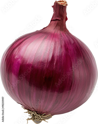 A large red onion with a stem