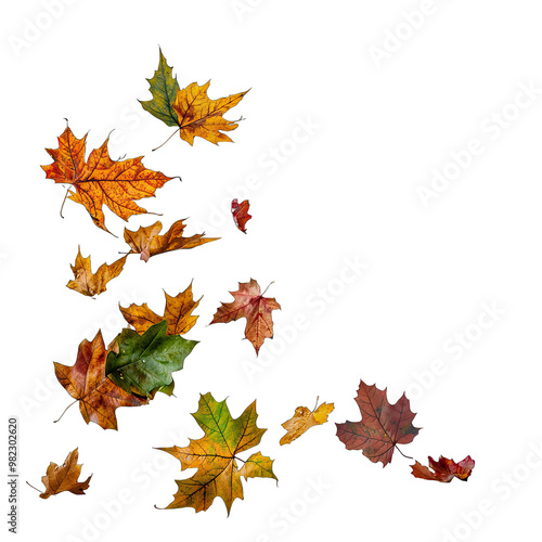 Falling Autumn Leaves photo