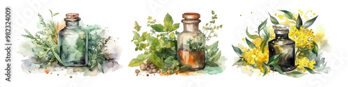 Watercolor set glass jar. Vector illustration. Hand drawn.
