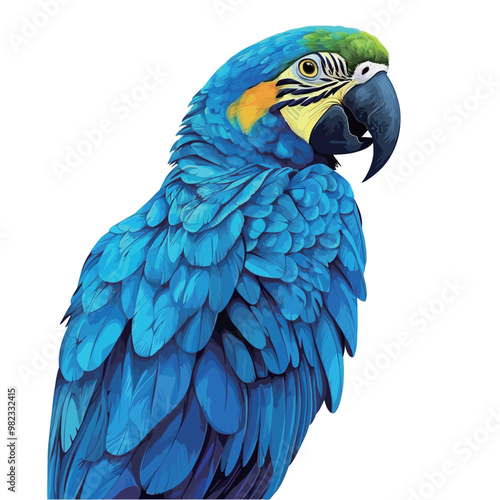Blue macaw parrot isolated on white background. Realistic vector illustration.