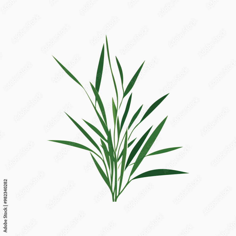 Minimalist green plant illustration Minimalist green plant illustration