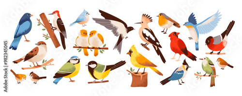 Birds in a minimalist hand-drawn style set. A variety of birds on branches, such as sparrow, woodpecker, swallow, bullfinch, titmouse, and canary. A flat illustration of the birds natural habitat
