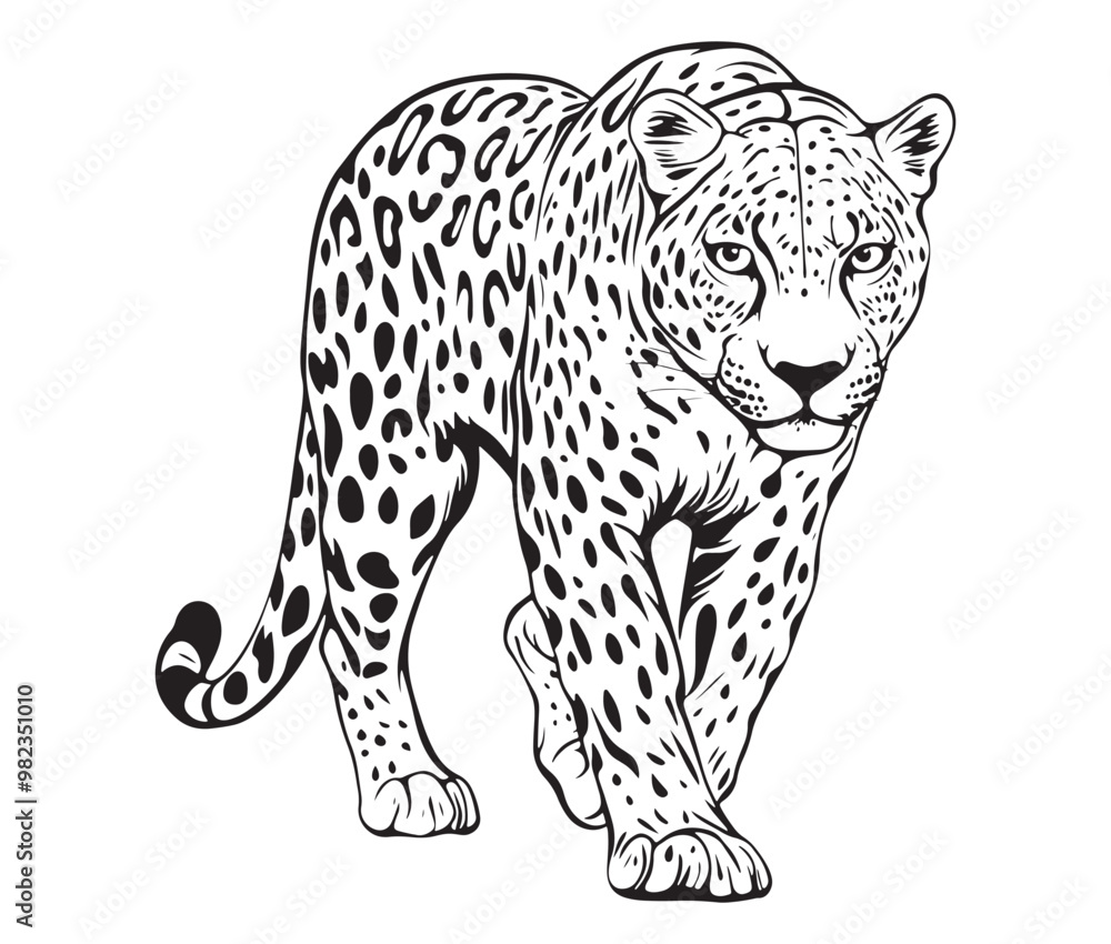 Fototapeta premium Silhouette of a leopard vector 