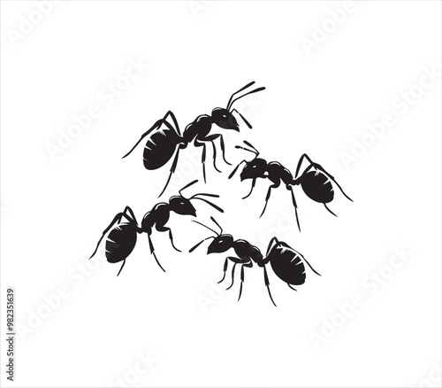 Ants silhouette vector on white background