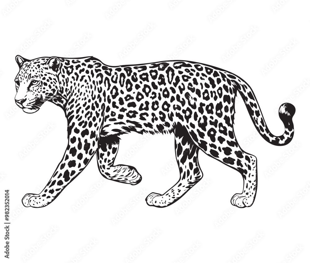 Silhouette of a leopard vector Silhouette of a leopard vector