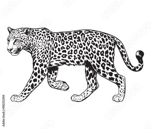 Silhouette of a leopard vector 