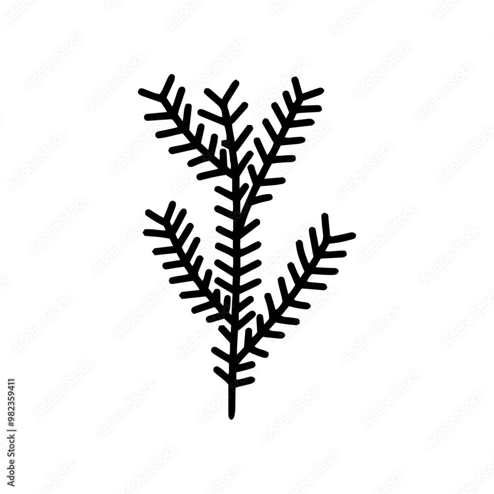 Fir branch in doodle style, simple. Fir branch in doodle style, simple.
