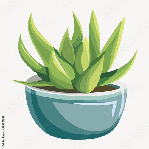 succulent illustration vector