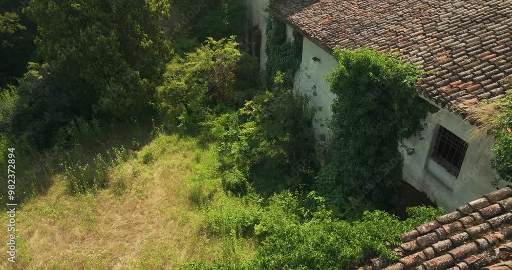 Overgrown foliage surrounds the roof of an abandoned villa in Lorenzana, Italy, on a sunny day Overgrown foliage surrounds the roof of an abandoned villa in Lorenzana, Italy, on a sunny day