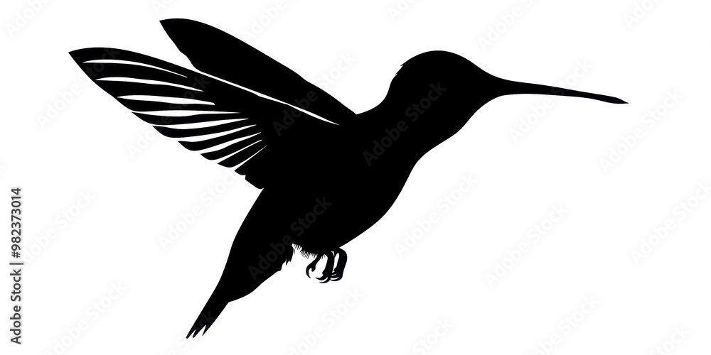 Fototapeta premium A black bird with a long beak flying in the air