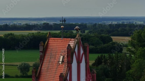 Aerial Drone fly large bird preening on a tile roof house, weather vane compass for wind and weather photo