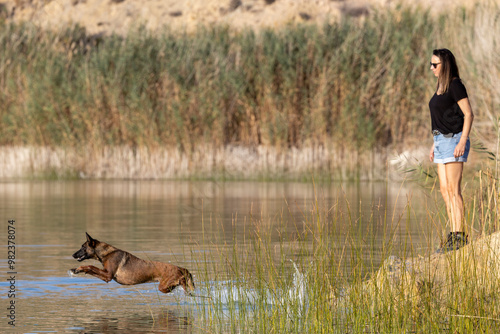 Dog jumpling into a lake with a girl. photo