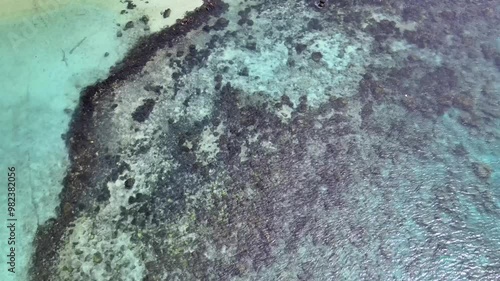 Waves of Emerald-Tinted Sea Lapping Close to the Shore