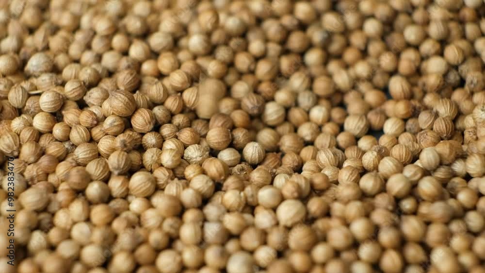 Coriander Seeds Aromatic Spice Pouring Slow Motion Coriander Seeds Aromatic Spice Pouring Slow Motion