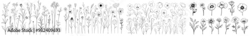 Anorexic contour Anthurium flowers for summer design or coloring book. 28 elements with botanical flowers outline with leaves in black.