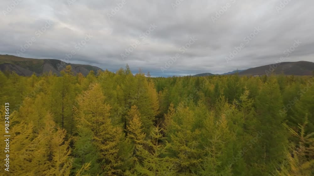 Soaring above lush green and golden foliage, this breathtaking landscape showcases a vast forest in the mountains under dramatic clouds. Nature's beauty unfolds as the season changes. Soaring above lush green and golden foliage, this breathtaking landscape showcases a vast forest in the mountains under dramatic clouds. Nature's beauty unfolds as the season changes.