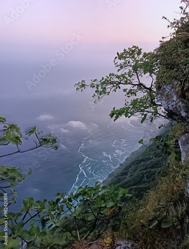 shaat view on the sea in Sultanate of oman with twigs tree by the mountain photo