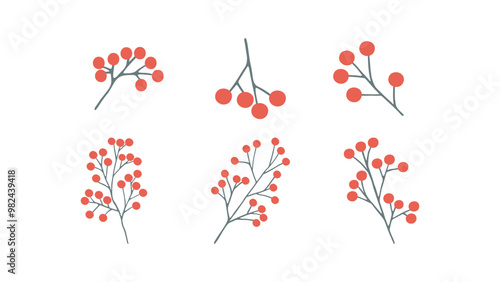Vector hand drawn branch of rowan berries for winter and autumn decoration. Doodle illustration.