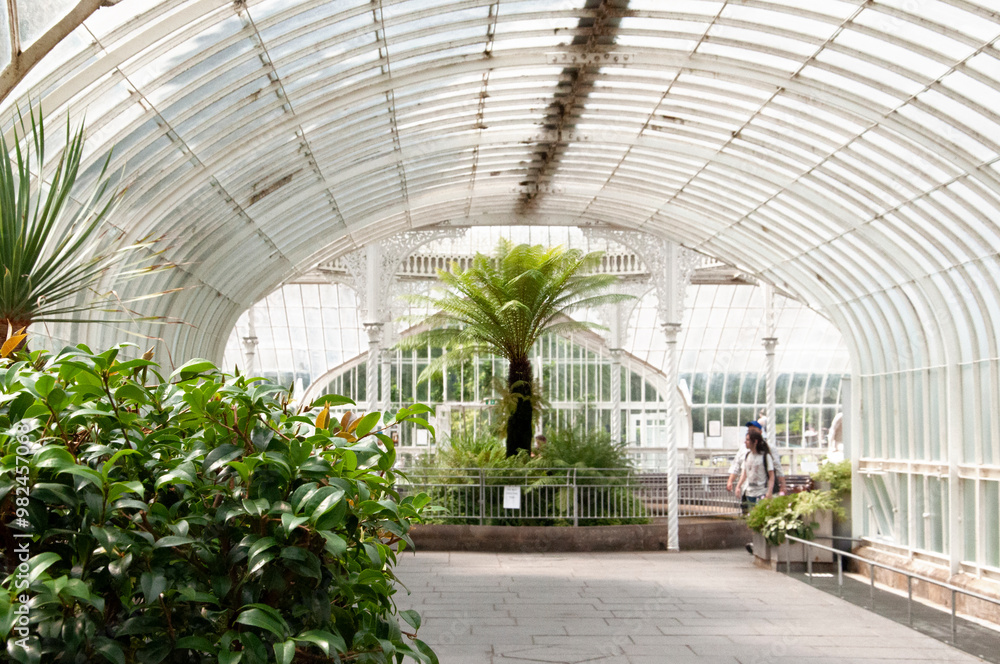 The inner corridorі and arches of the Victorian Botanic Garden. Palm with lush greenery in the centre, large bush in the front. The inner corridorі and arches of the Victorian Botanic Garden. Palm with lush greenery in the centre, large bush in the front.