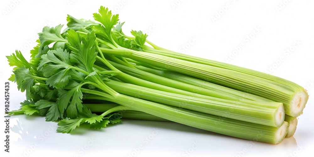 Fresh from the garden, the crunchy celery rib boasts vibrant leaves and visible veins, ideal for healthy snacking Fresh from the garden, the crunchy celery rib boasts vibrant leaves and visible veins, ideal for healthy snacking