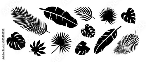 tropical leaf vector set. illustration graphic design art silhouette cut out collage banana leaf coconut leaf palm leaves monstera nature forest summer island vacation holiday travel tropic hawaii