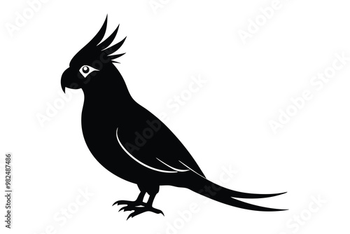 Cockatiel Silhouette, Bird Silhouette, Vector Cockatiel Illustration, Avian Clipart, Pet Bird Design photo