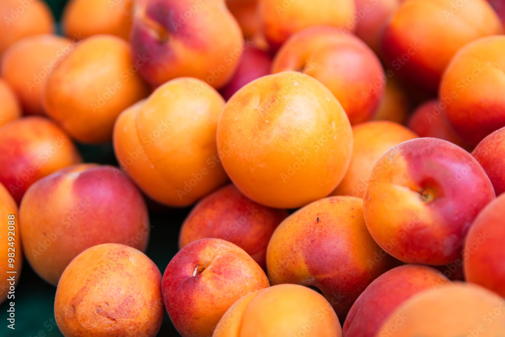 Closeup of vibrant orange ripe and fresh apricots heap displayed at the local farm market. Smooth texture of the colorful fruit skin. Healthy eating organic farming concept. Closeup of vibrant orange ripe and fresh apricots heap displayed at the local farm market. Smooth texture of the colorful fruit skin. Healthy eating organic farming concept.