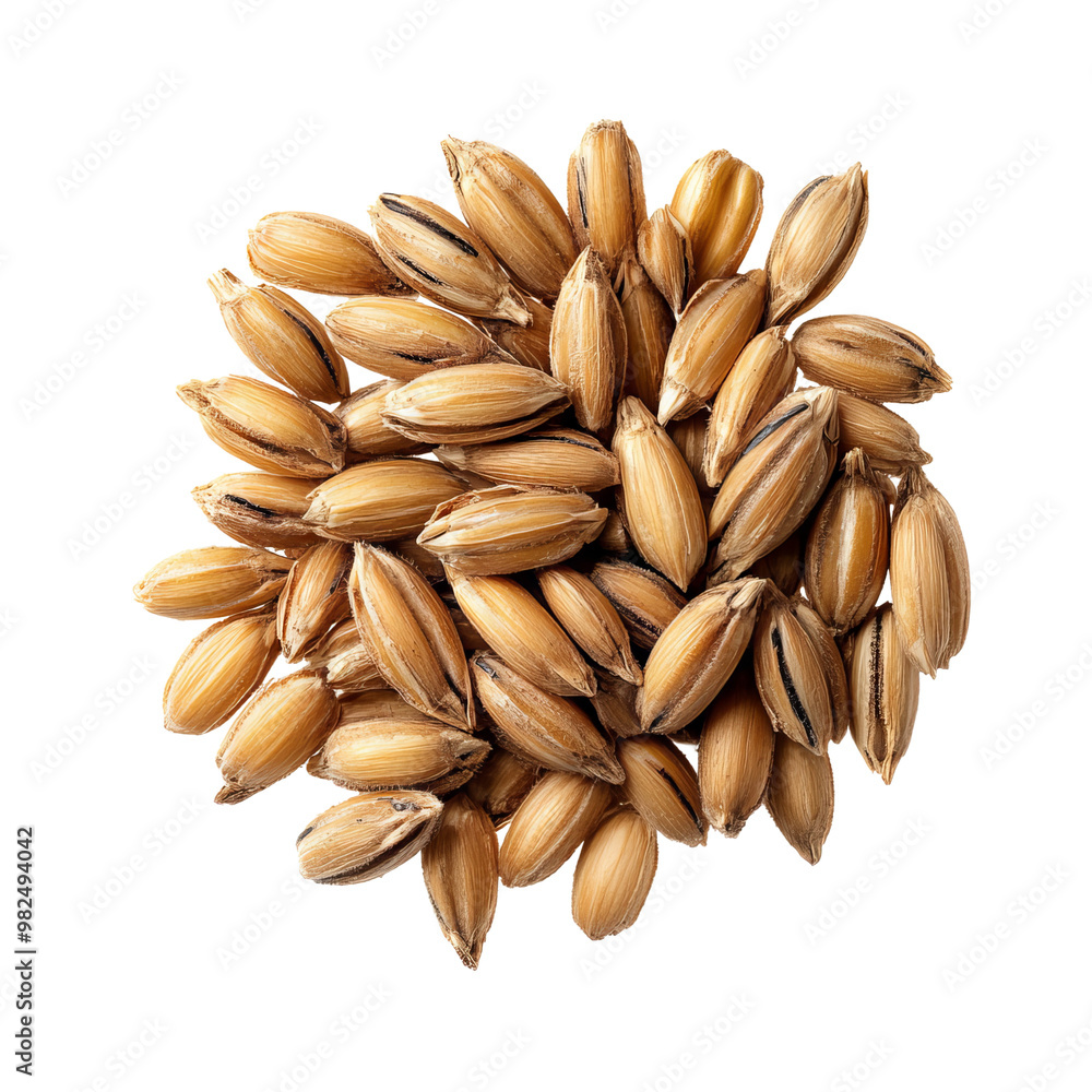 Close-up of a cluster of brown grains, showcasing their natural texture and color, perfect for food and agriculture themes. Close-up of a cluster of brown grains, showcasing their natural texture and color, perfect for food and agriculture themes.