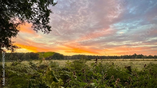 Sunset Hildener City Forest