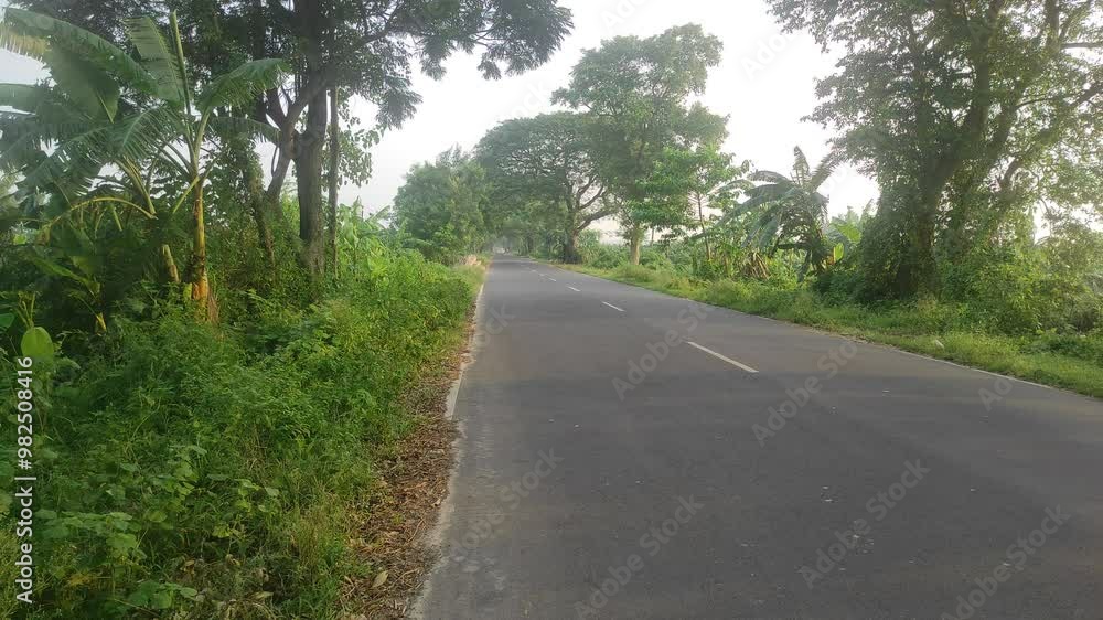 Highway in the middle of the forest, trees and plants on both side of the road Highway in the middle of the forest, trees and plants on both side of the road