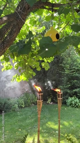 Torches burning in a quiet garden