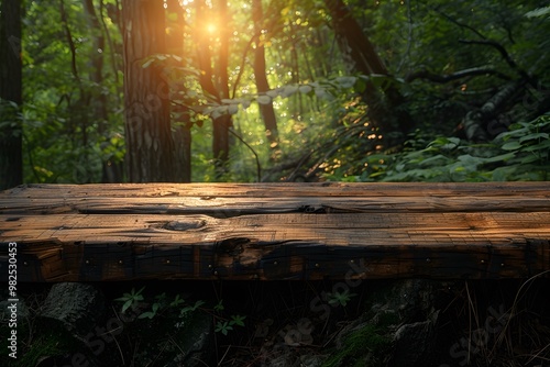 Sunlit Wooden Bench in Tranquil Forest Glade - Nature Lovers, Eco Tourism, Relaxation photo