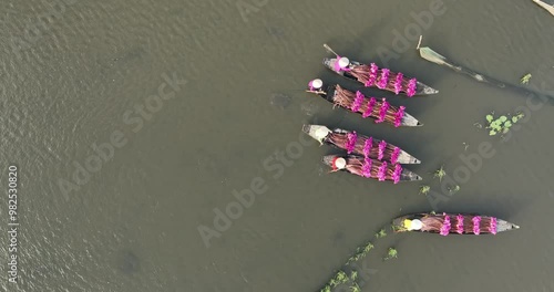 Harvesting water lilies in the floating season on Moc Hoa field, Long An. Video shot in Moc Hoa, Long An on September 9, 2024. photo