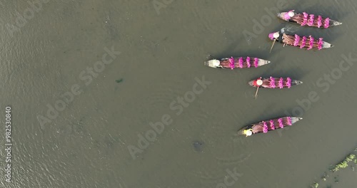 Harvesting water lilies in the floating season on Moc Hoa field, Long An. Video shot in Moc Hoa, Long An on September 9, 2024. photo