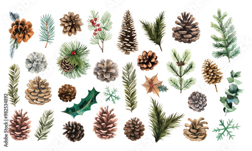 Christmas watercolor decor elements Holly fir branches and cones isolated on white background