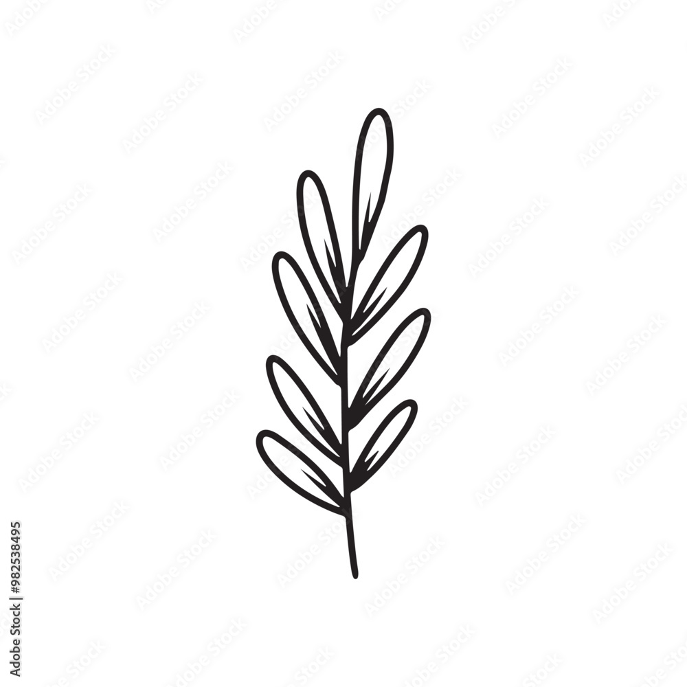 Abstract minimal branch with leaves as a symbol of autumn in in black isolated on white background. Hand drawn vector sketch illustration in doodle engraved vintage line art style. Coloring book, tea. Abstract minimal branch with leaves as a symbol of autumn in in black isolated on white background. Hand drawn vector sketch illustration in doodle engraved vintage line art style. Coloring book, tea.