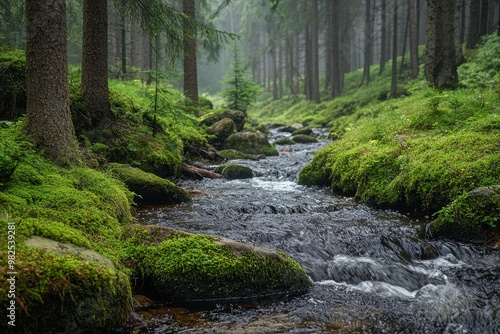 Landscape with mountain stream flowing through virgin spruce forest with mossy stones photo