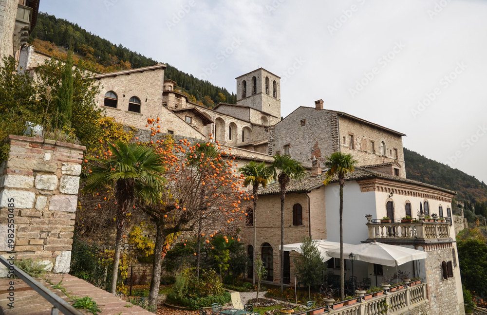 Terrazze con alberi di arance a Gubbio Terrazze con alberi di arance a Gubbio