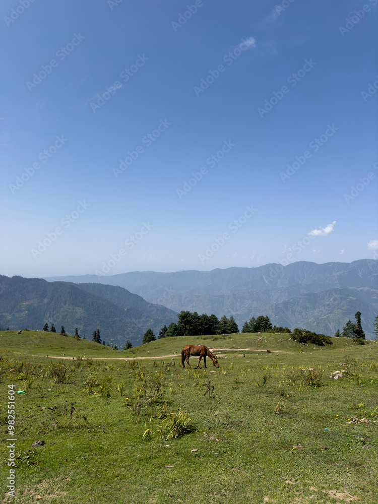 Obraz premium Meadows and mountains of Shogran, Khyber Pakhtunkhwa, Pakistan