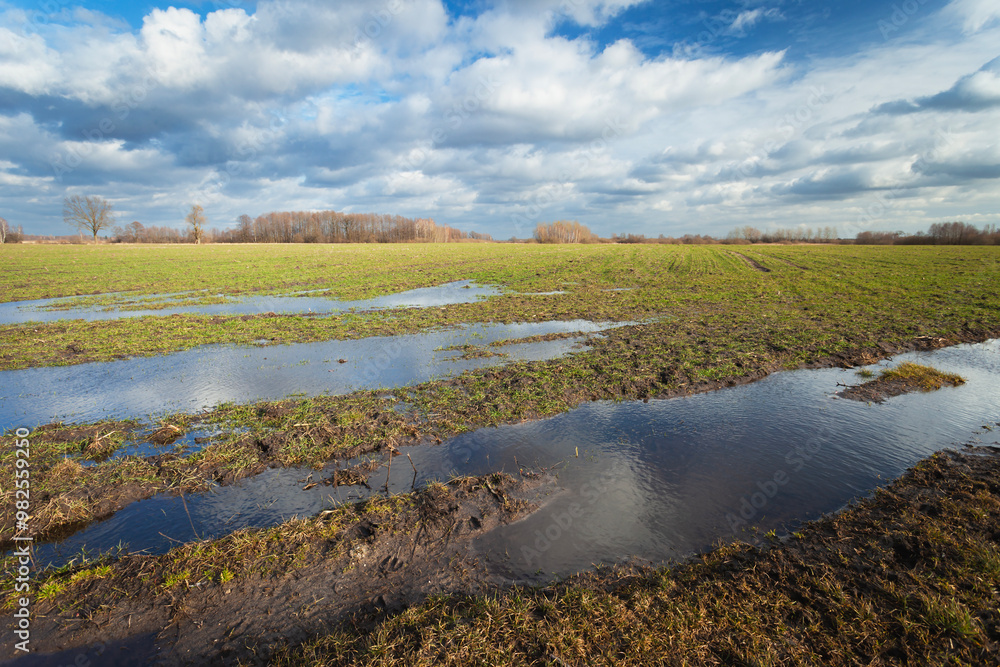Fototapeta premium Water on the rural field and clouds on the sky