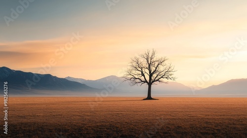 Lone Tree Silhouette in Mountain Landscape at Sunset