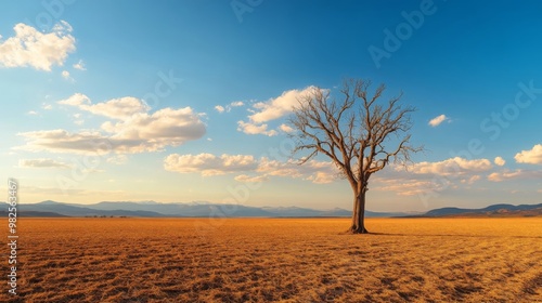 Lone Tree in a Dry Grassland Landscape with Mountains in the Distance