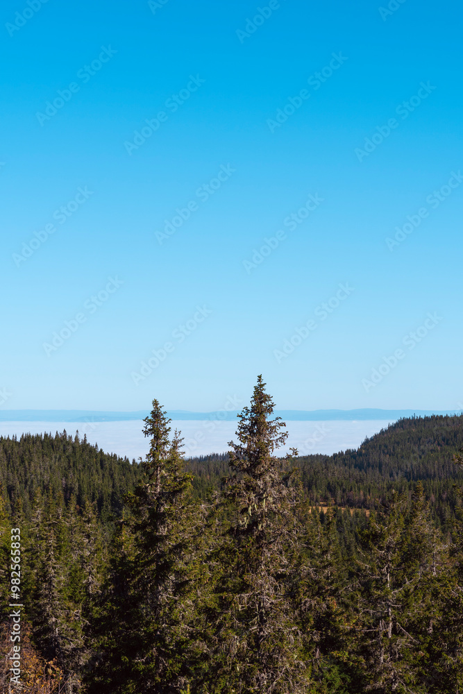 View North-Eastwards from the Tjuvåskampen Hill, part of the Totenåsen Hills, Norway. View North-Eastwards from the Tjuvåskampen Hill, part of the Totenåsen Hills, Norway.