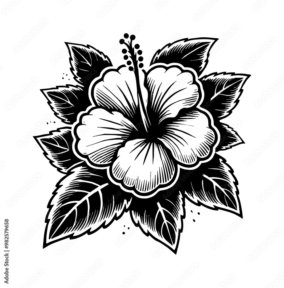 Obraz premium hibiscus flower engraving black and white outline