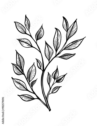 laurel branch engraving black and white outline