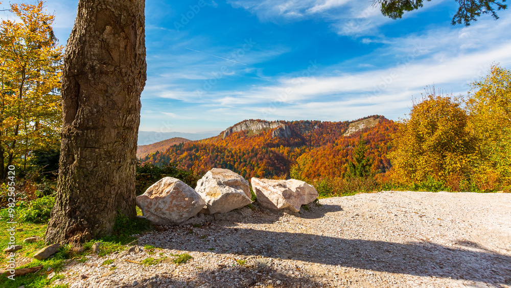 sunny autumn day in mountains. wonderful views of carpathian landscape. trees in colorful foliage on the hillside. ridge in the distance beneath a blue sky with clouds
